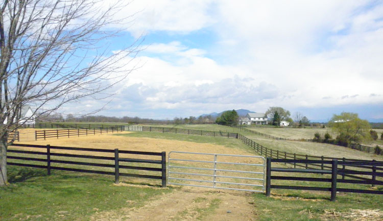 4 rails of black Centaur HTP® Fence